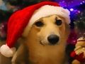Jogo Cães engraçados de natal  online
