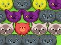 Jogo Gatinhos pop-pop  online