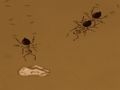 Jogo Salve a migalha  online