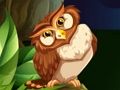 Jogo Atirador de coruja  online