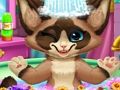 Jogo Banho de gatinho  online