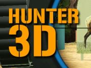 Jogo Hunter 3d online