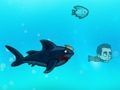 Jogo Shark Angry Miami online