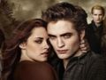 Jogo Coleção Twilight Jigsaw Puzzle online Jogo Coleção Twilight Jigsaw Puzzle online