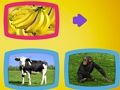 Jogo O que os animais comem? online Jogo O que os animais comem? online