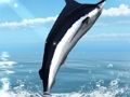 Jogo Azure Sea Fishing online