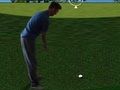 Jogo Flash Golf 3D  online