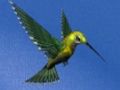 Jogo Escape da casa do beija -flor online