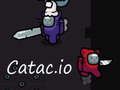 Jogo Catac. io  online