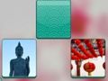 Jogo Vire para fora online