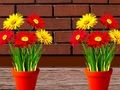 Jogo Fuga da casa de flores online