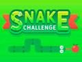 Jogo Desafio Cobra  online