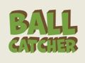 Jogo Apanhador de bolas  online