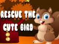 Jogo Resgate o pássaro fofo  online