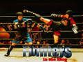 Jogo Lutadores no ringue  online