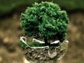 Jogo Ambiente Jigsaw  online