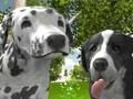 Jogo Simulador de cachorro 3D online