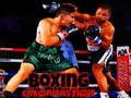 Jogo Luta dos Campeões do Boxe  online