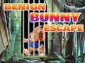 Jogo Escape de coelho benigno online