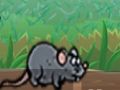 Jogo Coletor de Queijo  online