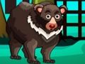 Jogo Fuga do Urso  online