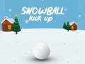 Jogo Chute Bola de Neve  online