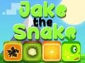 Jogo Jake A Serpente  online