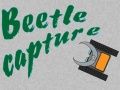 Jogo Captura de Besouro  online