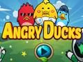 Jogo Patos Furiosos  online
