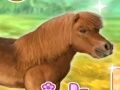 Jogo Meu caro pônei online Jogo Meu caro pônei online
