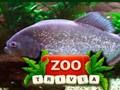 Jogo ZOO Curiosidades  online
