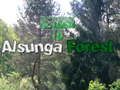 Jogo Regresso à Floresta Alsunga  online