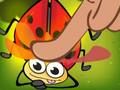 Jogo Inseto Cush  online