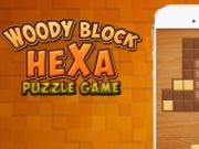 Jogo Quebra-cabeça Hexa Bloco Woody  online