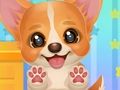 Jogo Adote seu cachorrinho de estimação  online