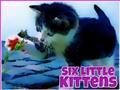 Jogo Seis gatinhos  online
