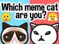 Jogo Qual gato meme você é?  online