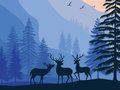 Jogo Paraíso Paisagístico Escondido  online