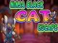 Jogo Fuga do Gato Preto Ninja  online