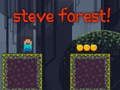 Jogo Steve Forest online