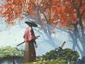 Jogo Reflexão Samurai  online
