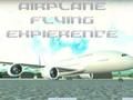 Jogo Experiência de voo de avião  online