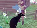 Jogo Simulador de Cervos 3D  online