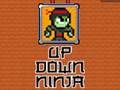 Jogo Ninja de cima para baixo  online