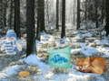 Jogo Aventura na Floresta do País das Maravilhas de Inverno  online