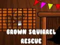Jogo Resgate do Esquilo Marrom  online