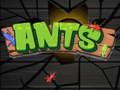 Jogo Formigas  online