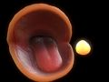 Jogo Pac Man  online