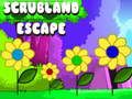 Jogo Fuga do Cerrado  online