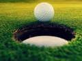Jogo Mestres do golfe!  online
